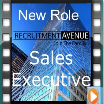 New Job – Sales Executive